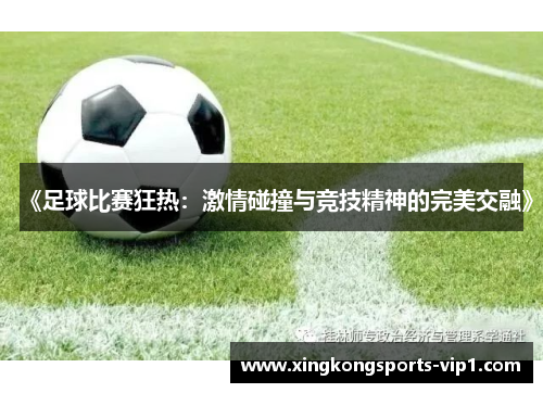 《足球比赛狂热：激情碰撞与竞技精神的完美交融》