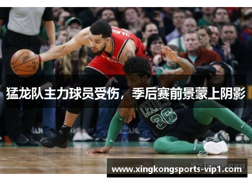 猛龙队主力球员受伤，季后赛前景蒙上阴影